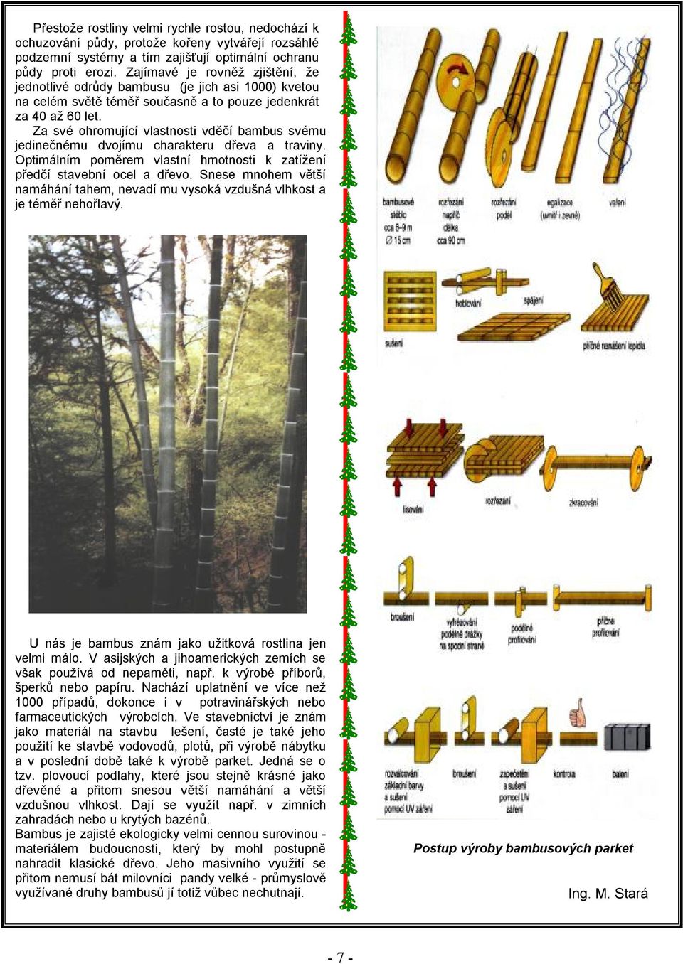 Za své ohromující vlastnosti vděčí bambus svému jedinečnému dvojímu charakteru dřeva a traviny. Optimálním poměrem vlastní hmotnosti k zatížení předčí stavební ocel a dřevo.