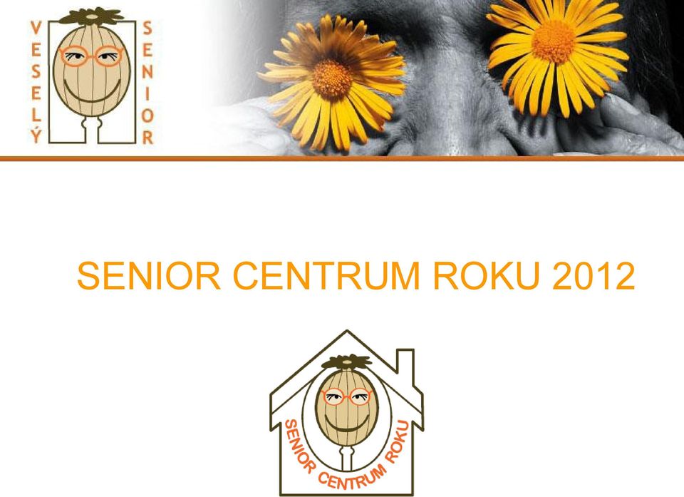 ROKU 2012