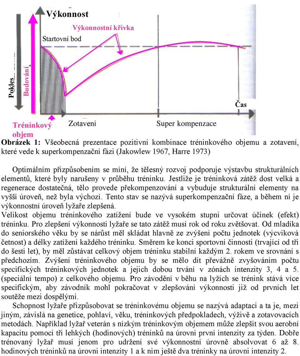 tréninku. Jestliže je tréninková dost velká a regenerace dostatečná, tělo provede překompenzování a vybuduje strukturální elementy na vyšší úroveň, než byla výchozí.