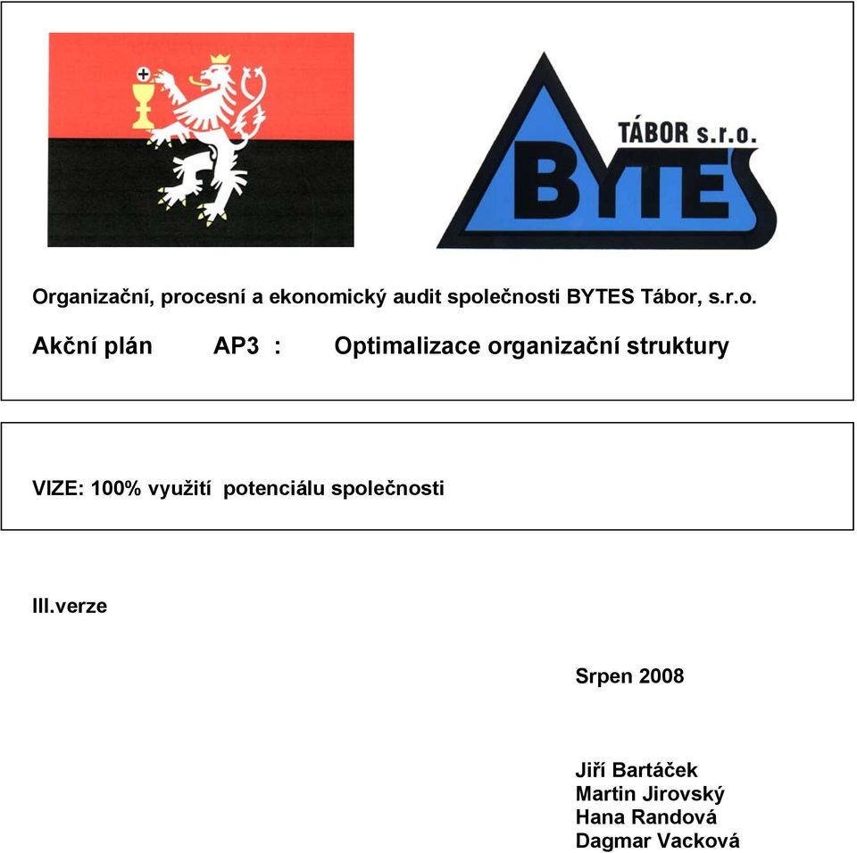struktury VIZE: 100% využití potenciálu společnosti III.