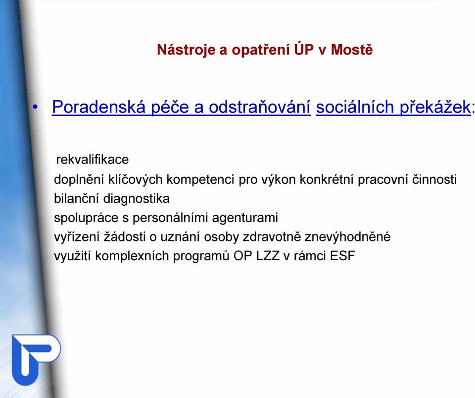 pracovní činnosti bilanční diagnostika spolupráce s personálními agenturami