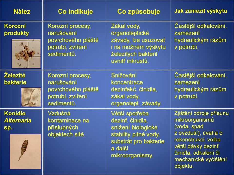 Železité bakterie Korozní procesy, narušování povrchového pláště potrubí, zvíření sedimentů. Snižování koncentrace dezinfekč. činidla, zákal vody, organolept. závady.