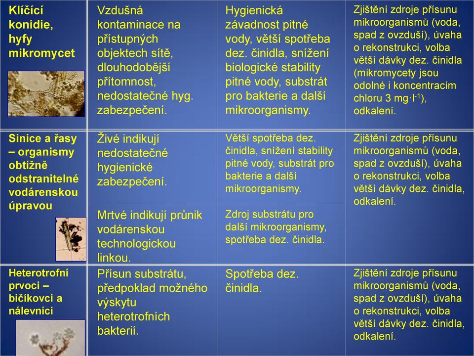 Zjištění zdroje přísunu mikroorganismů (voda, spad z ovzduší), úvaha o rekonstrukci, volba větší dávky dez. činidla (mikromycety jsou odolné i koncentracím chloru 3 mg l -1 ), odkalení.