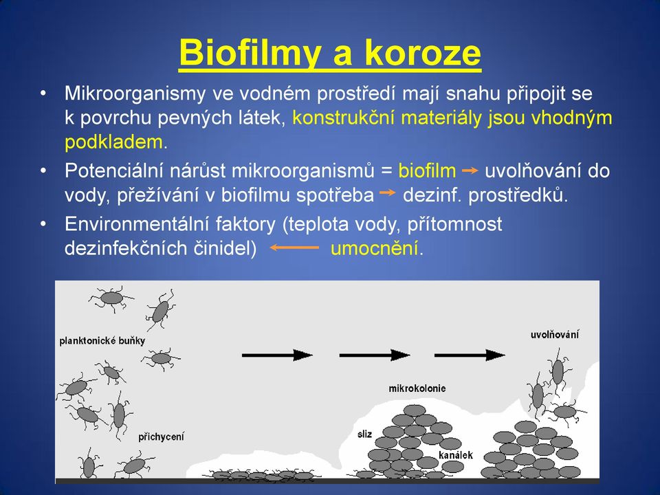 Potenciální nárůst mikroorganismů = biofilm uvolňování do vody, přežívání v biofilmu