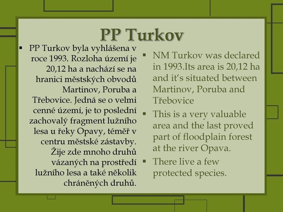 Ţije zde mnoho druhů vázaných na prostředí luţního lesa a také několik chráněných druhů. PP Turkov NM Turkov was declared in 1993.