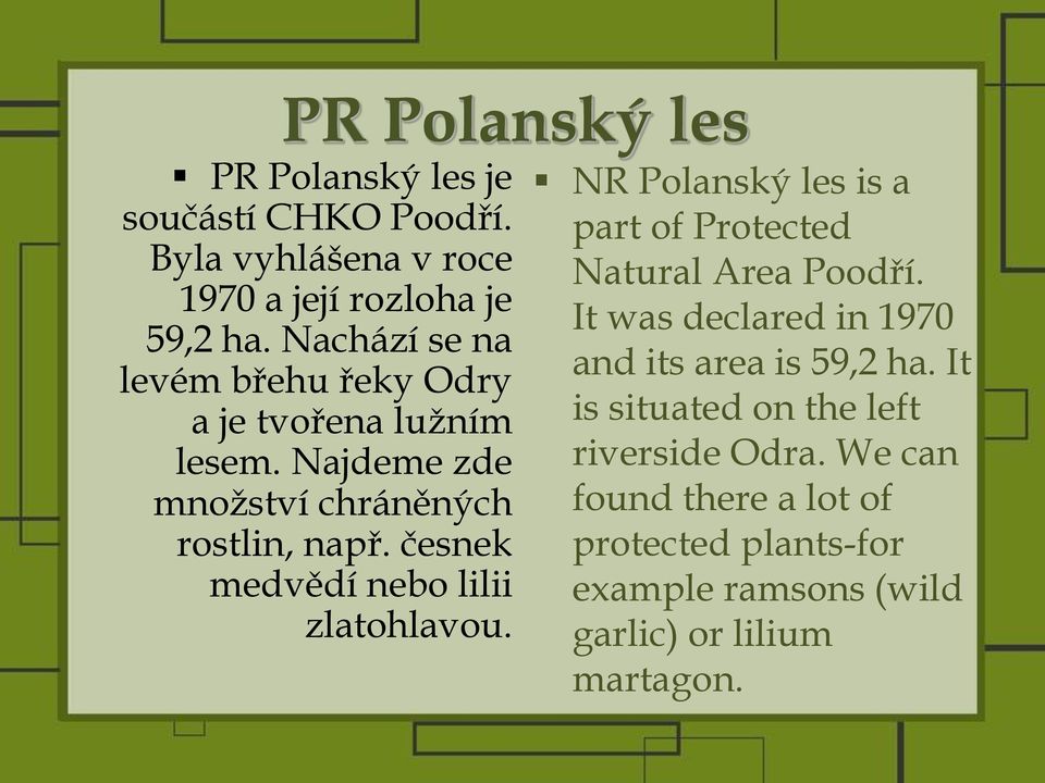 česnek medvědí nebo lilii zlatohlavou. NR Polanský les is a part of Protected Natural Area Poodří.