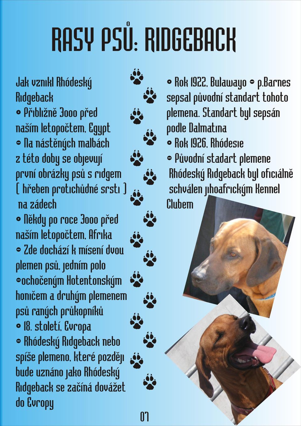 raných průkopníků 18. století, Evropa - Rhódeský Ridgeback nebo spíše plemeno, které později bude uznáno jako Rhódeský Ridgeback se začíná dovážet do Evropy 07 Rok 1922, Bulawayo - p.