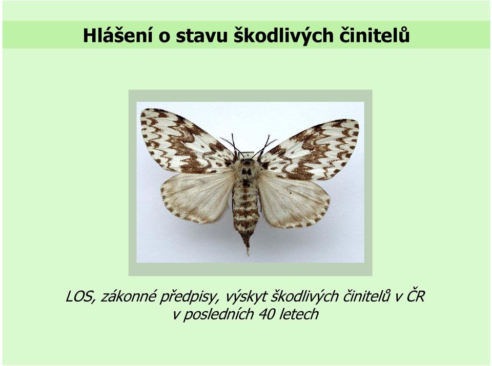 předpisy, výskyt škodlivých