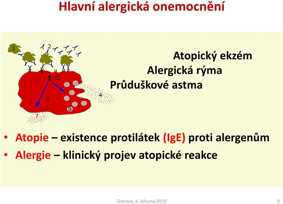 Atopie existence protilátek (IgE) proti