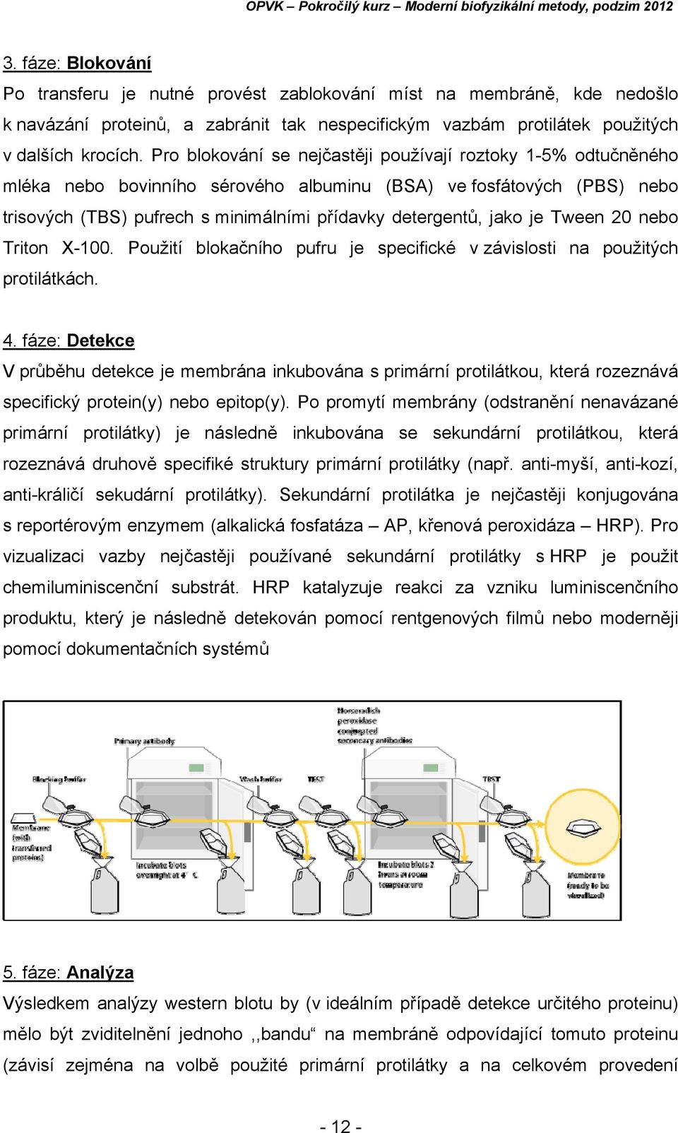 je Tween 20 nebo Triton X-100. Použití blokačního pufru je specifické v závislosti na použitých protilátkách. 4.