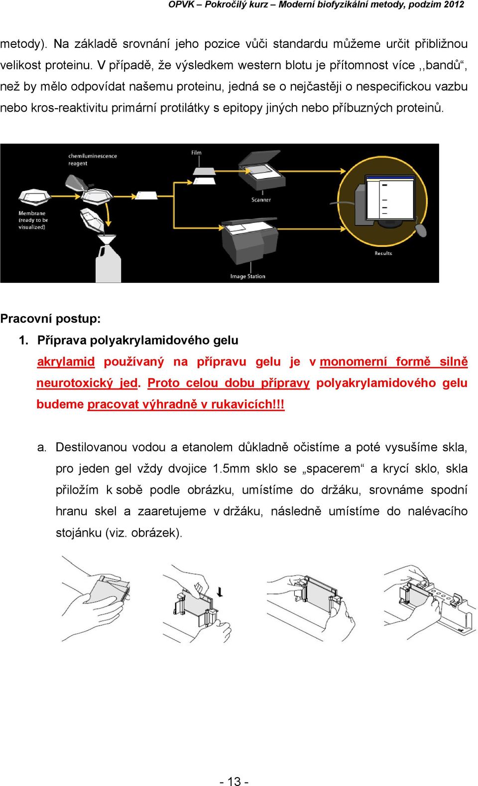 jiných nebo příbuzných proteinů. Pracovní postup: 1. Příprava polyakrylamidového gelu akrylamid používaný na přípravu gelu je v monomerní formě silně neurotoxický jed.