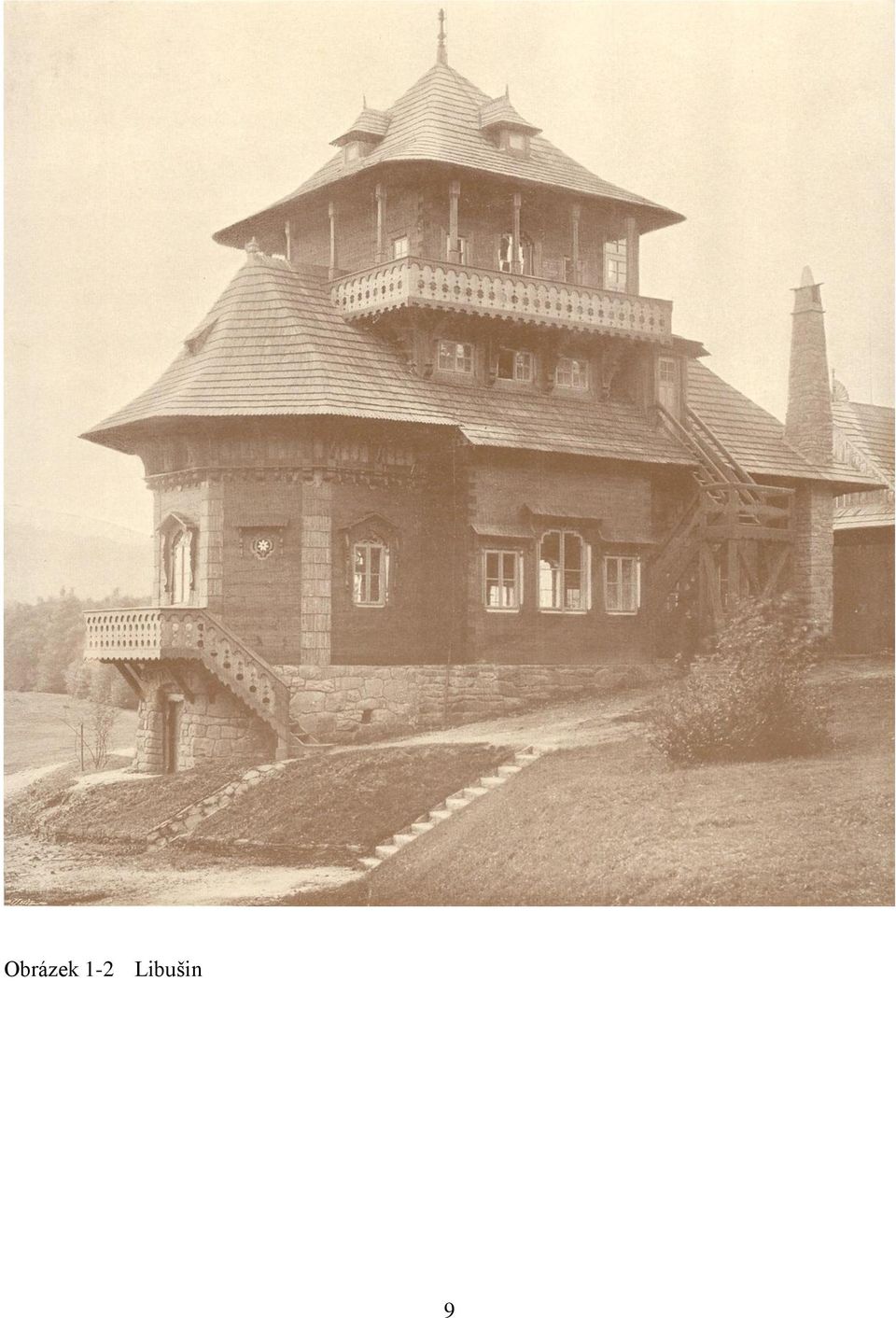 Libušin 9