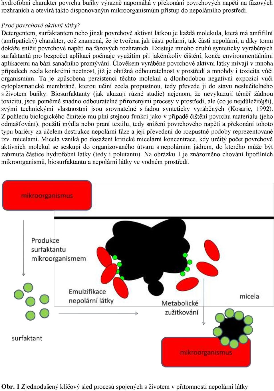 Detergentem, surfaktantem nebo jinak povrchově aktivní látkou je každá molekula, která má amfifilní (amfipatický) charakter, což znamená, že je tvořena jak částí polární, tak částí nepolární, a díky