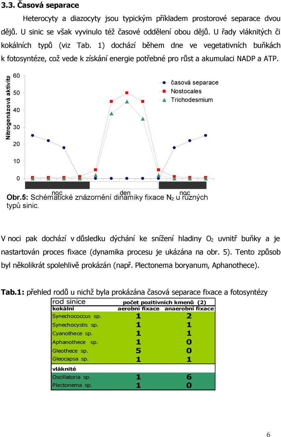 Nitrogenázová aktivita 60 50 40 30 20 časová separace Nostocales Trichodesmium 10 0 1 2 3 4 5 6 7 8 9 10 11 12 noc den noc Obr.5: Schématické znázornění dinamiky fixace N 2 u různých typů sinic.