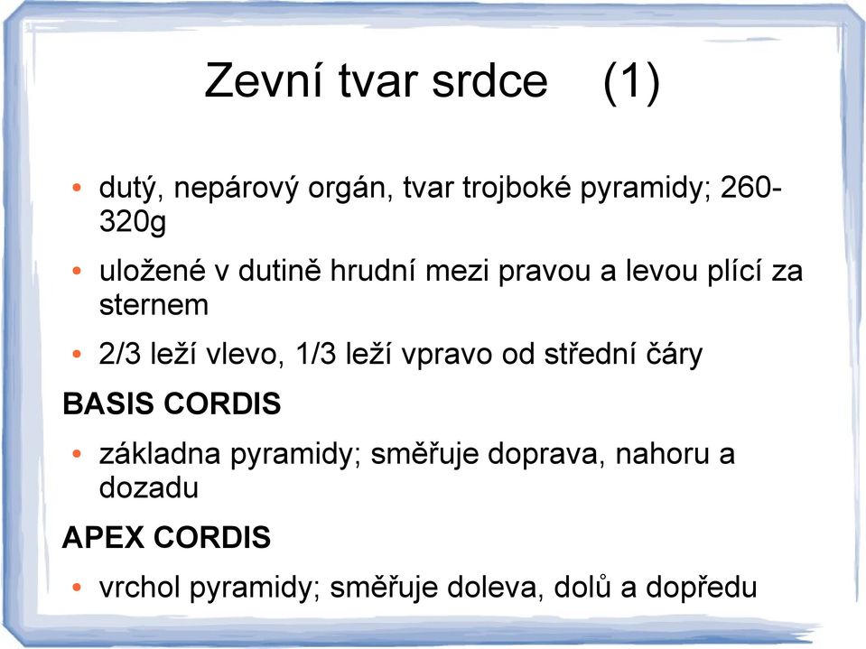 1/3 leží vpravo od střední čáry BASIS CORDIS základna pyramidy; směřuje