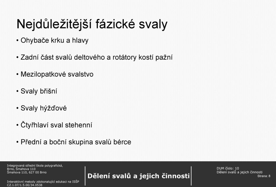 Mezilopatkové svalstvo Svaly břišní Svaly hýžďové