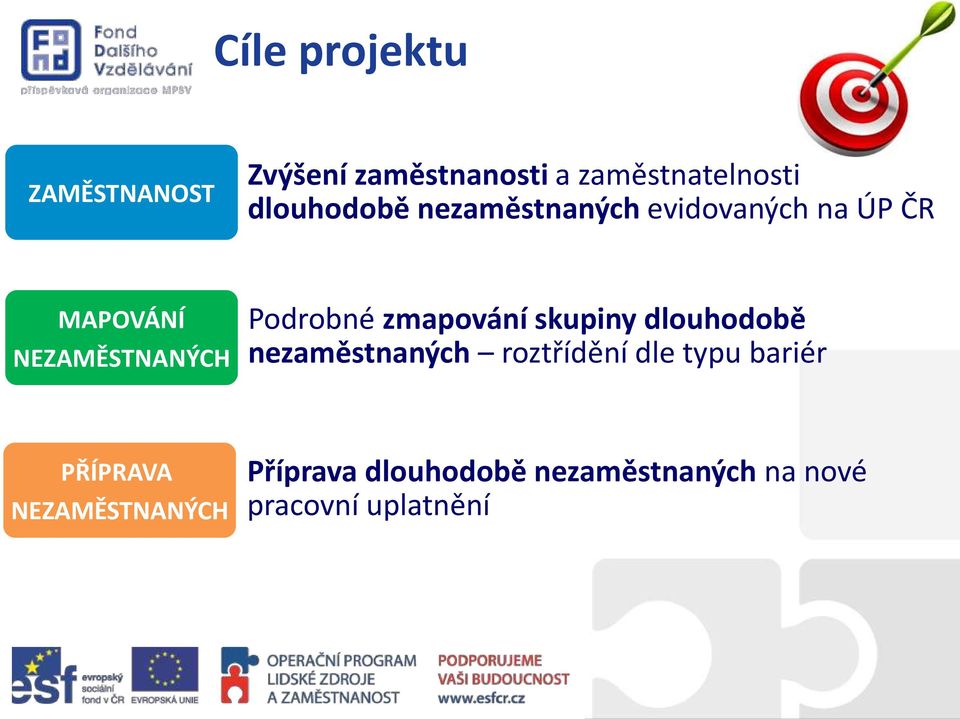 Podrobné zmapování skupiny dlouhodobě nezaměstnaných roztřídění dle typu