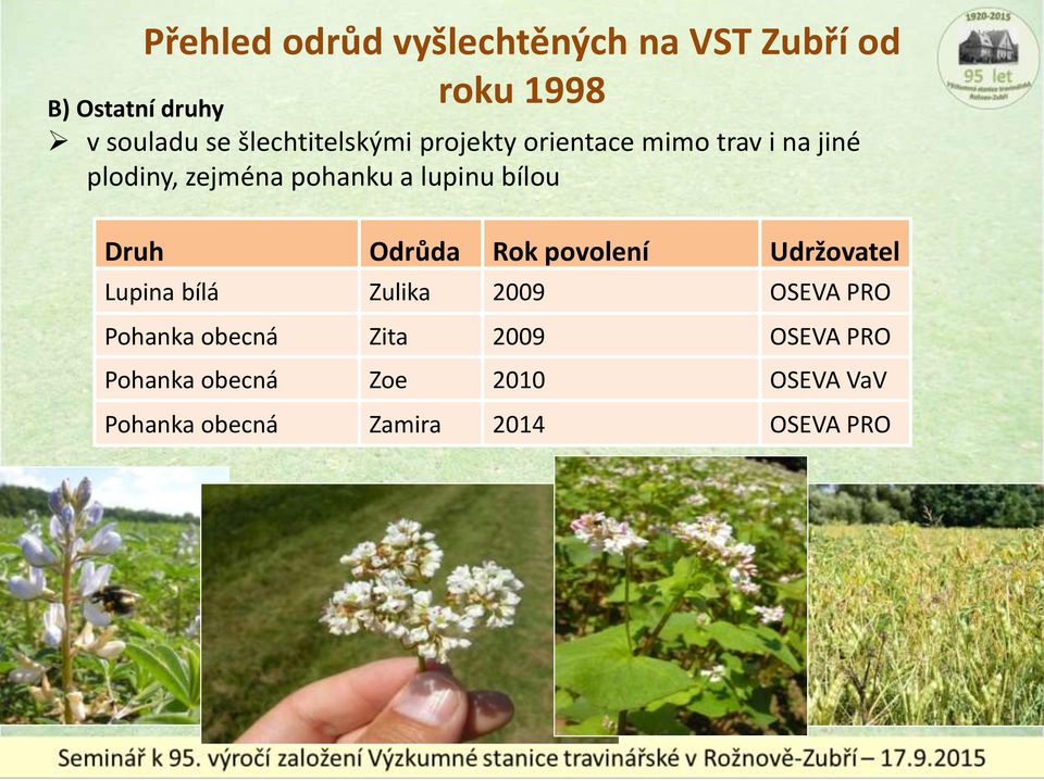 bílou Druh Odrůda Rok povolení Udržovatel Lupina bílá Zulika 2009 OSEVA PRO Pohanka