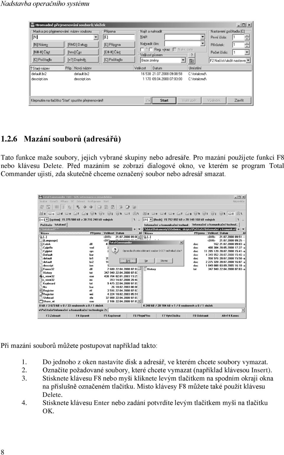 Při mazání souborů můžete postupovat například takto: 1. Do jednoho z oken nastavíte disk a adresář, ve kterém chcete soubory vymazat. 2.