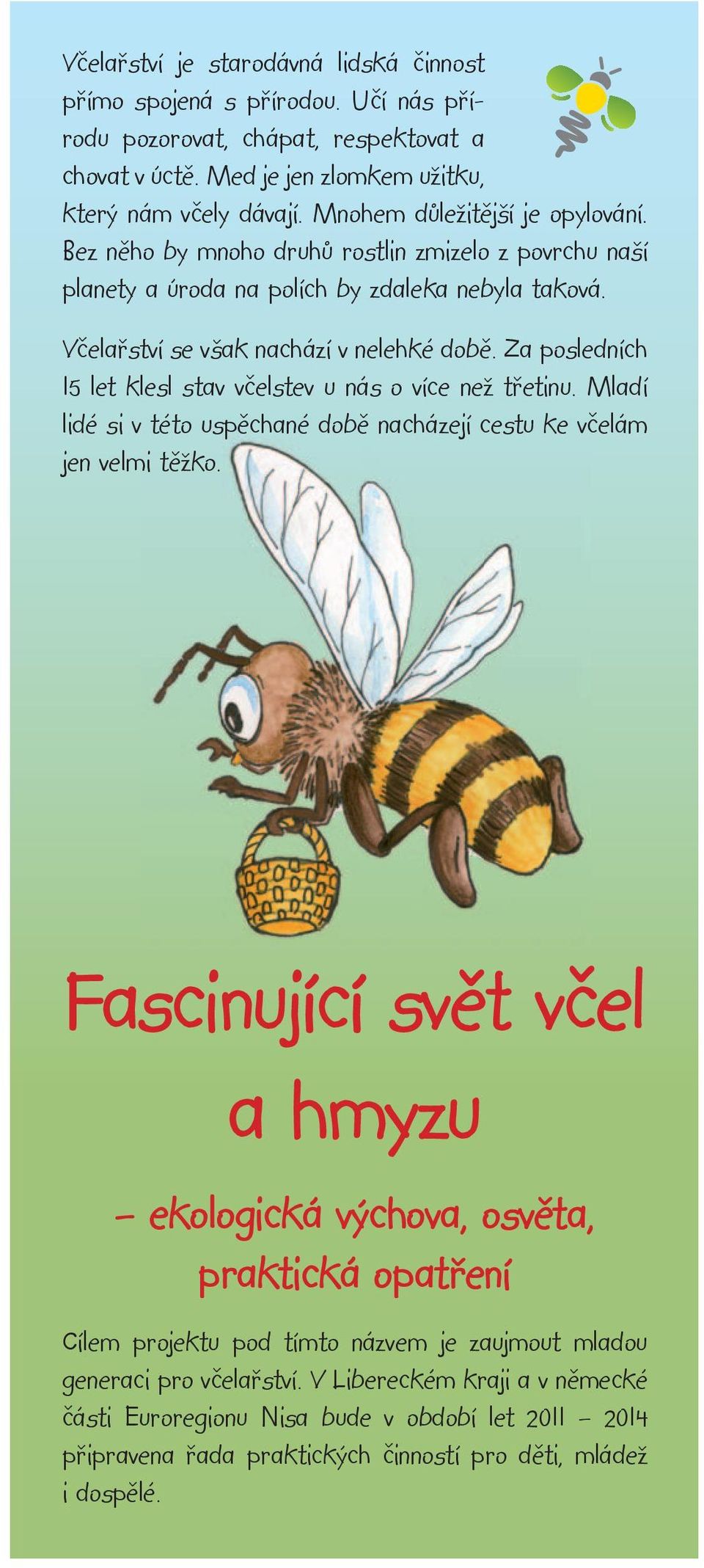 Za posledních 15 let klesl stav včelstev u nás o více než třetinu. Mladí lidé si v této uspěchané době nacházejí cestu ke včelám jen velmi těžko.