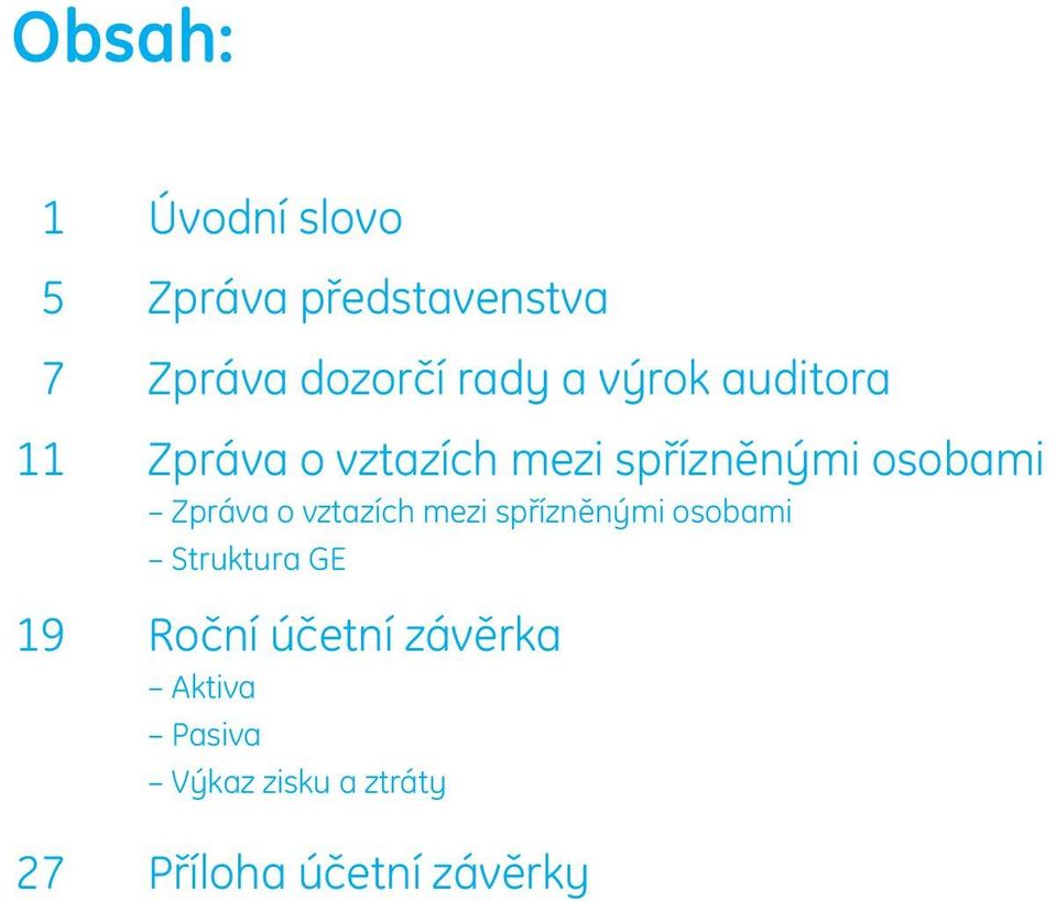 Zpráva o vztazích mezi spřízněnými osobami Struktura GE 19 Roční