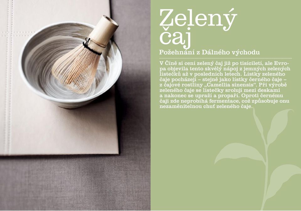 Lístky zeleného čaje pocházejí stejně jako lístky černého čaje z čajové rostliny Camellia sinensis.