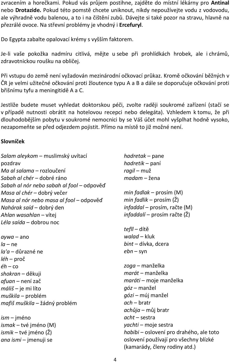 Na střevní problémy je vhodný i Ercefuryl. Do Egypta zabalte opalovací krémy s vyšším faktorem.
