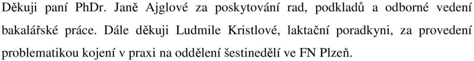 vedení bakalářské práce.