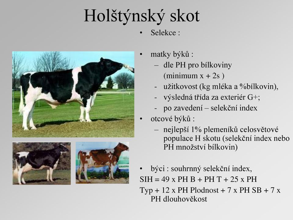 plemeníků celosvětové populace H skotu (selekční index nebo PH mnoţství bílkovin) býci : souhrnný