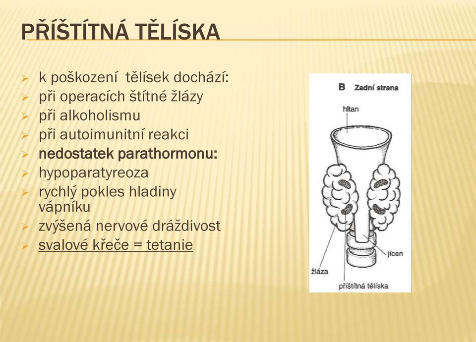 reakci nedostatek parathormonu: hypoparatyreoza rychlý