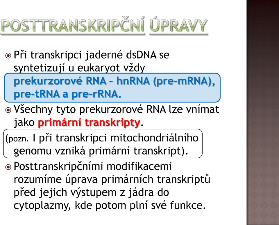 I při transkripci mitochondriálního genomu vzniká primární transkript).