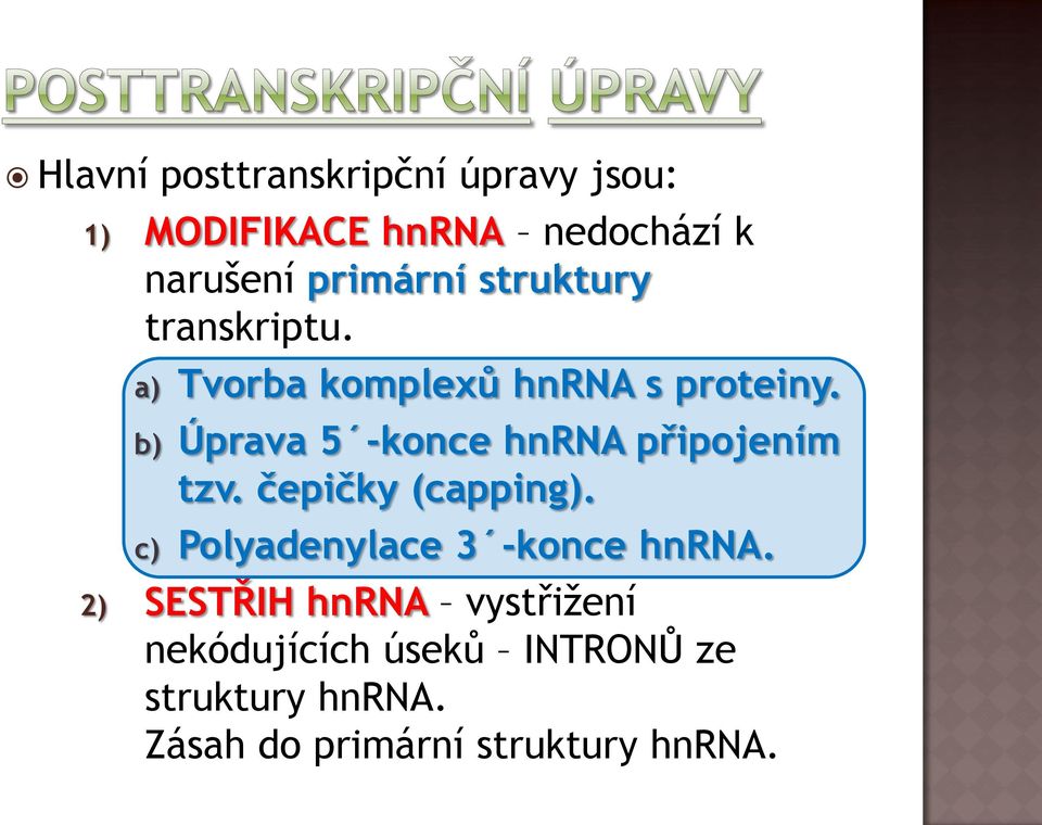 b) Úprava 5 -konce hnra připojením tzv. čepičky (capping).