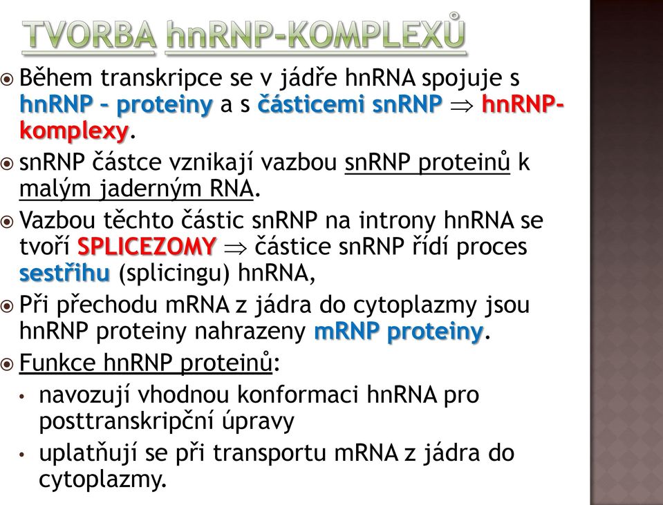 Vazbou těchto částic snrp na introny hnra se tvoří SPLICEZMY částice snrp řídí proces sestřihu (splicingu) hnra, Při