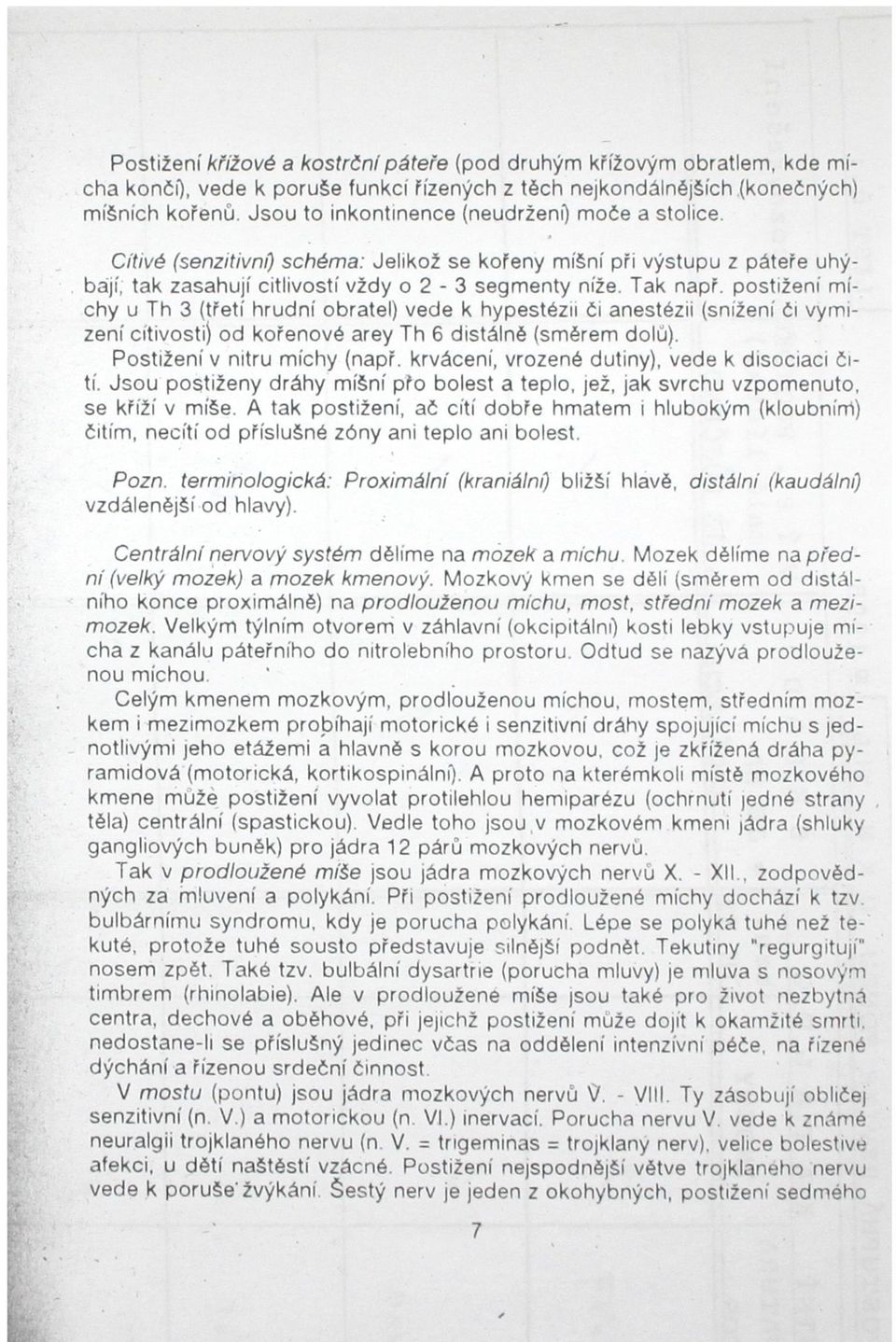 postižení míchy u Th 3 (třetí hrudní obratel) vede k hypestézii či anestézii (snížení či vymizení citivosti) od kořenové arey Th 6 distálně (směrem dolů). Postižení v nitru míchy (např.