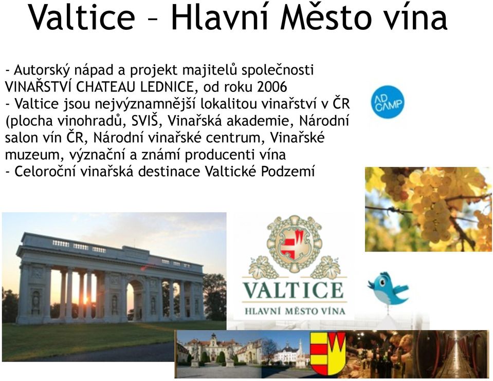 (plocha vinohradů, SVIŠ, Vinařská akademie, Národní salon vín ČR, Národní vinařské