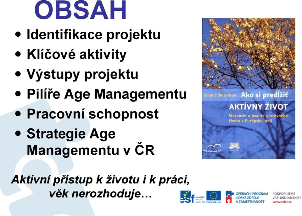 Pracovní schopnost Strategie Age Managementu v