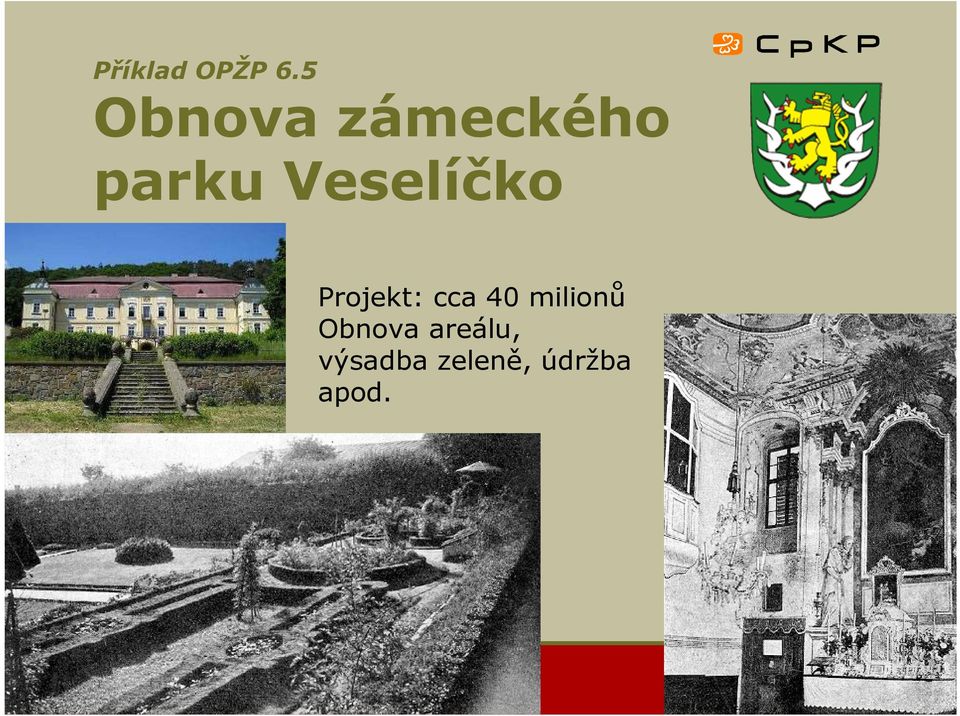 Veselíčko hhh Projekt: cca 40