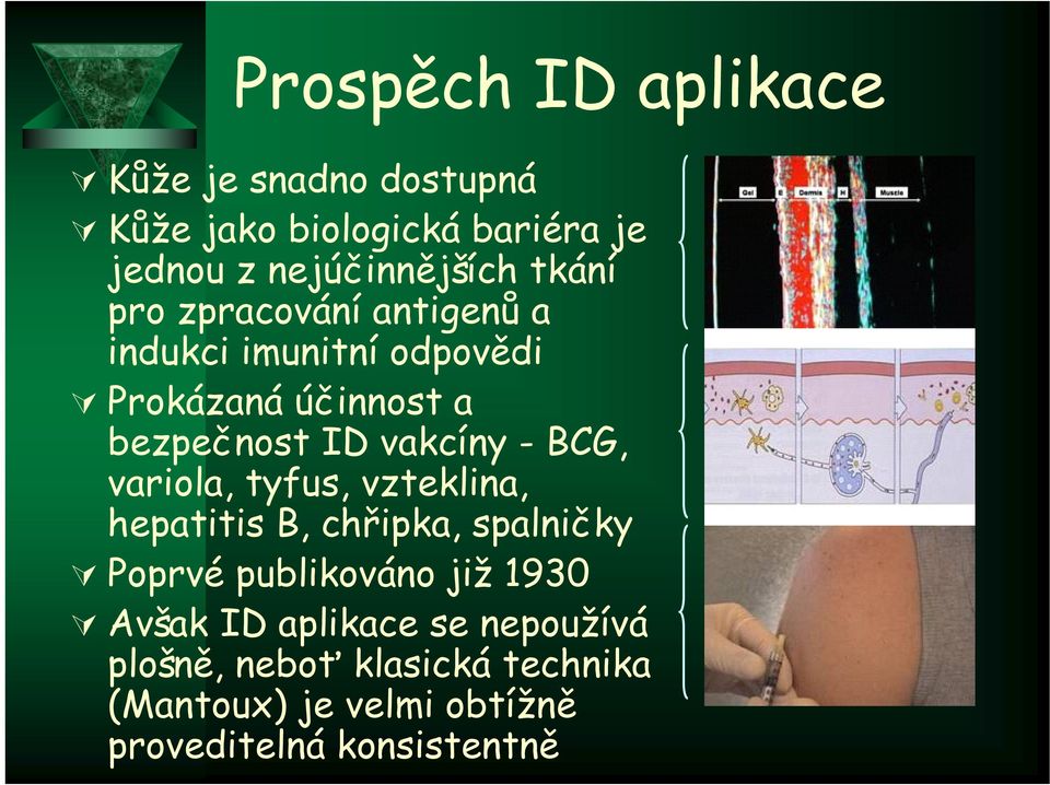 BCG, variola, tyfus, vzteklina, hepatitis B, chřipka, spalničky Poprvé publikováno již 1930 Avšak ID