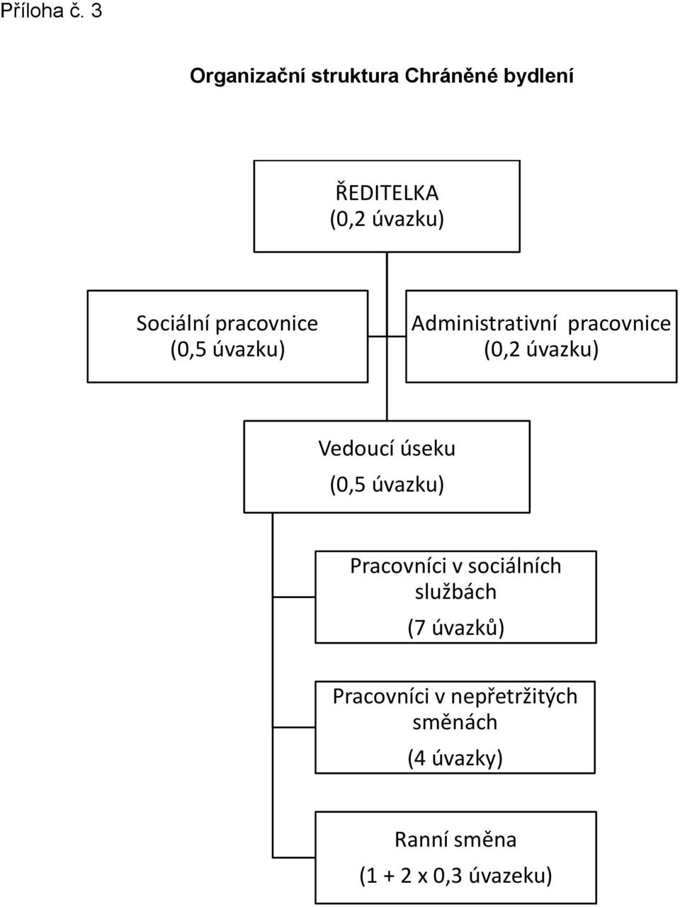 pracovnice (0,5 úvazku) Administrativní pracovnice (0,2 úvazku) Vedoucí