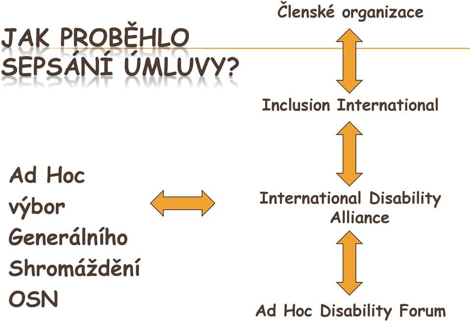 Ad Hoc výbor Generálního Shromáždění OSN