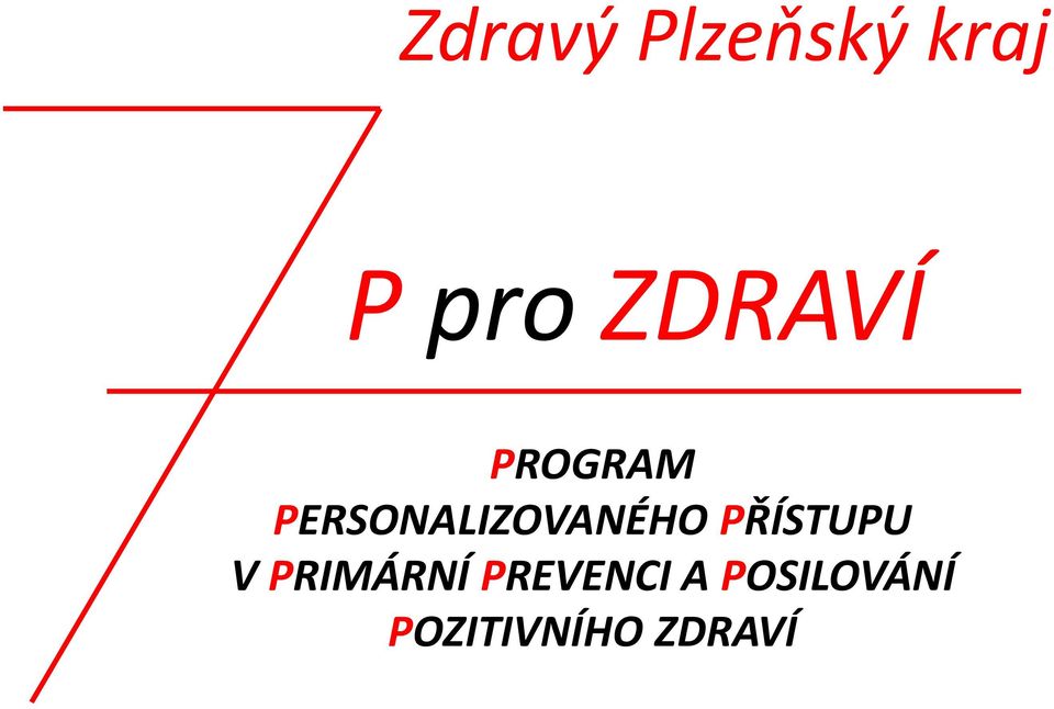 PERSONALIZOVANÉHO PŘÍSTUPU V