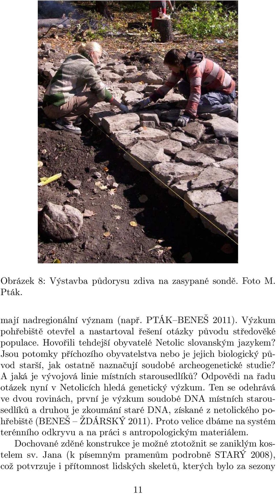 A jaká je vývojová linie místních starousedlíků? Odpovědi na řadu otázek nyní v Netolicích hledá genetický výzkum.