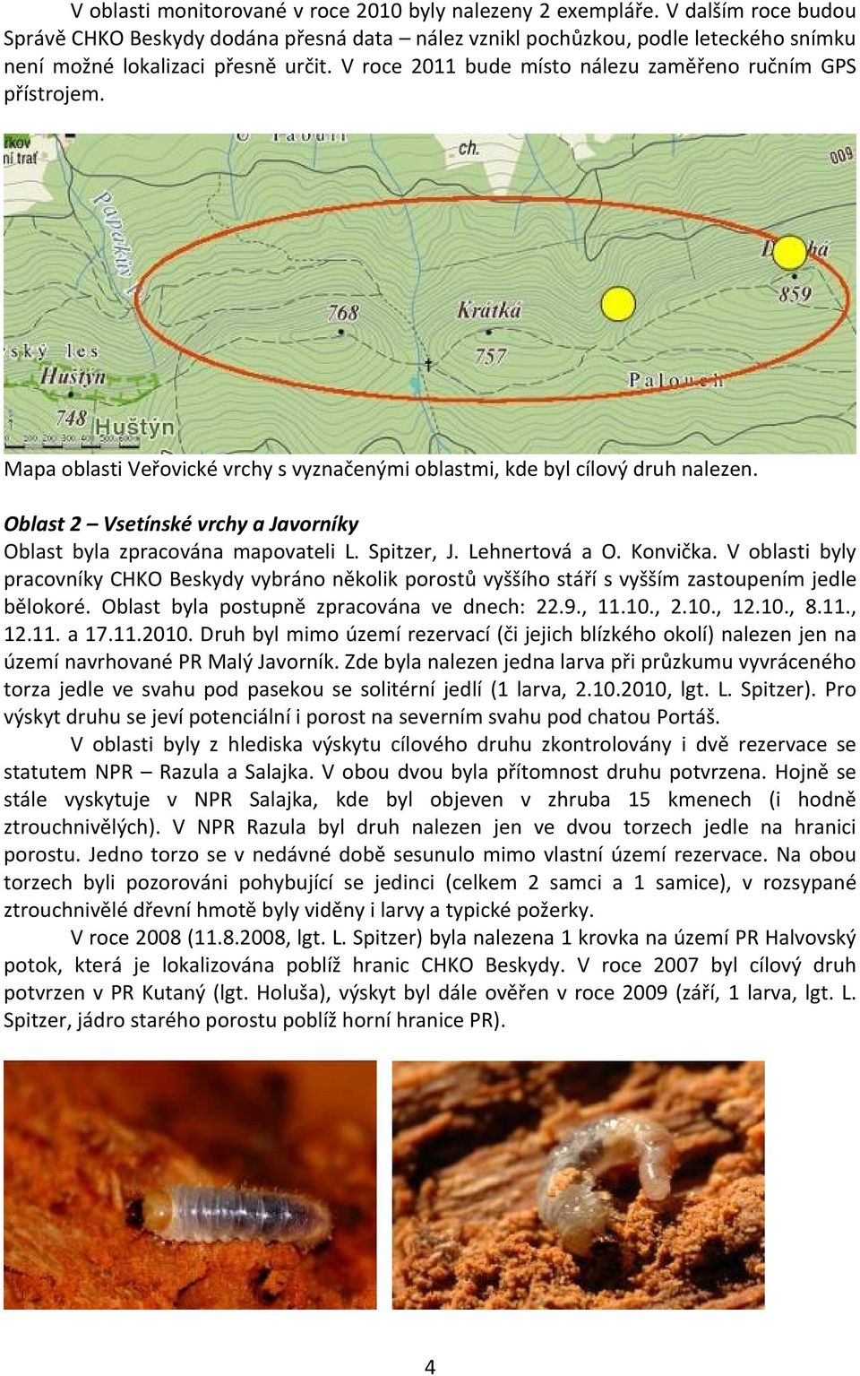 V roce 2011 bude místo nálezu zaměřeno ručním GPS přístrojem. Mapa oblasti Veřovické vrchy s vyznačenými oblastmi, kde byl cílový druh nalezen.