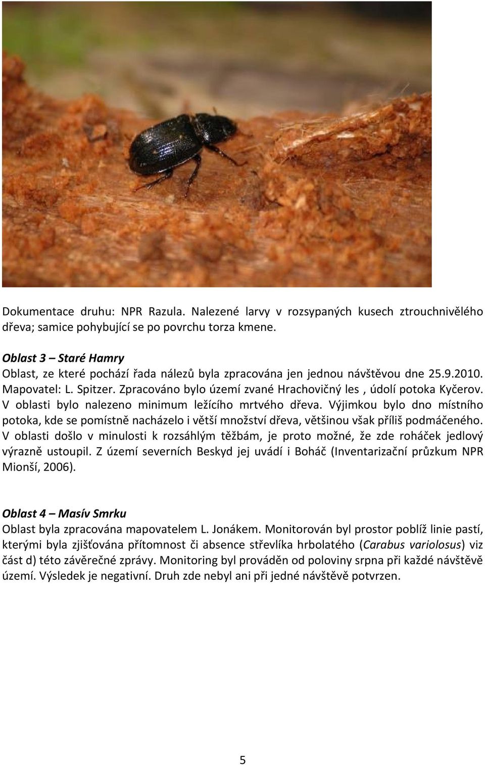 V oblasti bylo nalezeno minimum ležícího mrtvého dřeva. Výjimkou bylo dno místního potoka, kde se pomístně nacházelo i větší množství dřeva, většinou však příliš podmáčeného.