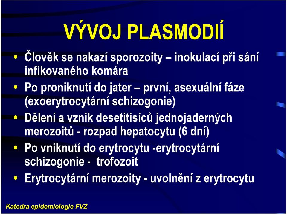 desetitisíců jednojaderných merozoitů - rozpad hepatocytu (6 dní) Po vniknutí do