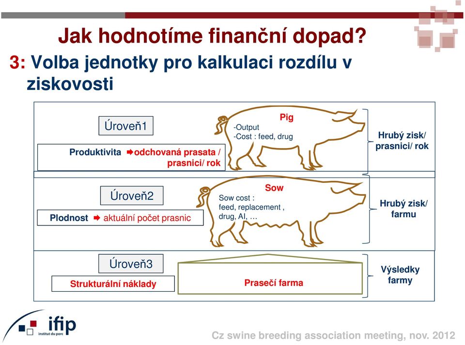 prasata / prasnici/ rok Pig -Output -Cost : feed, drug Hrubý zisk/ prasnici/ rok Úroveň2