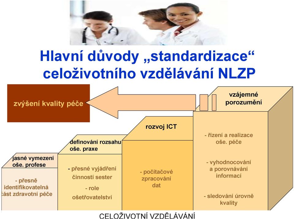 profese - přesně identifikovatelná část zdravotní péče - přesné vyjádření činností sester - role