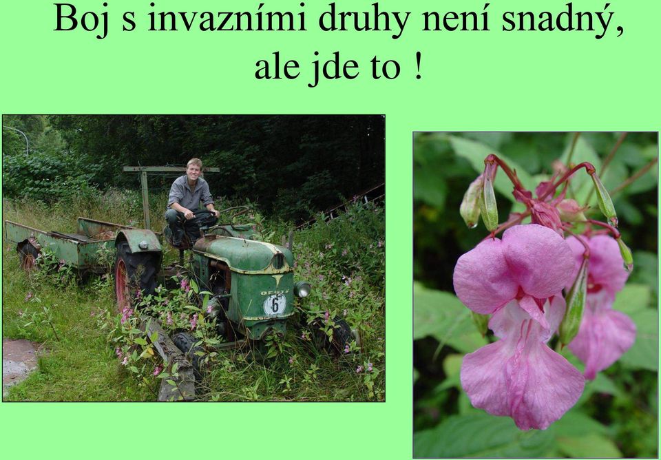 druhy není