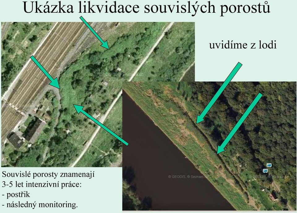 porosty znamenají 3-5 let