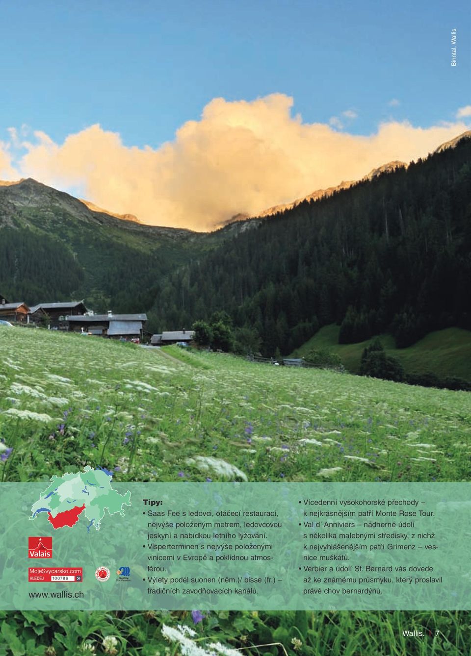 Visperterminen s nejvýše položenými vinicemi v Evropě a poklidnou atmosférou. Výlety podél suonen (něm.)/ bisse (fr.) tradičních zavodňovacích kanálů.